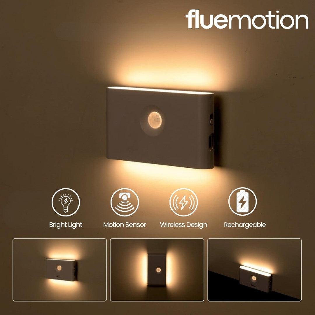 Flue Motion 1