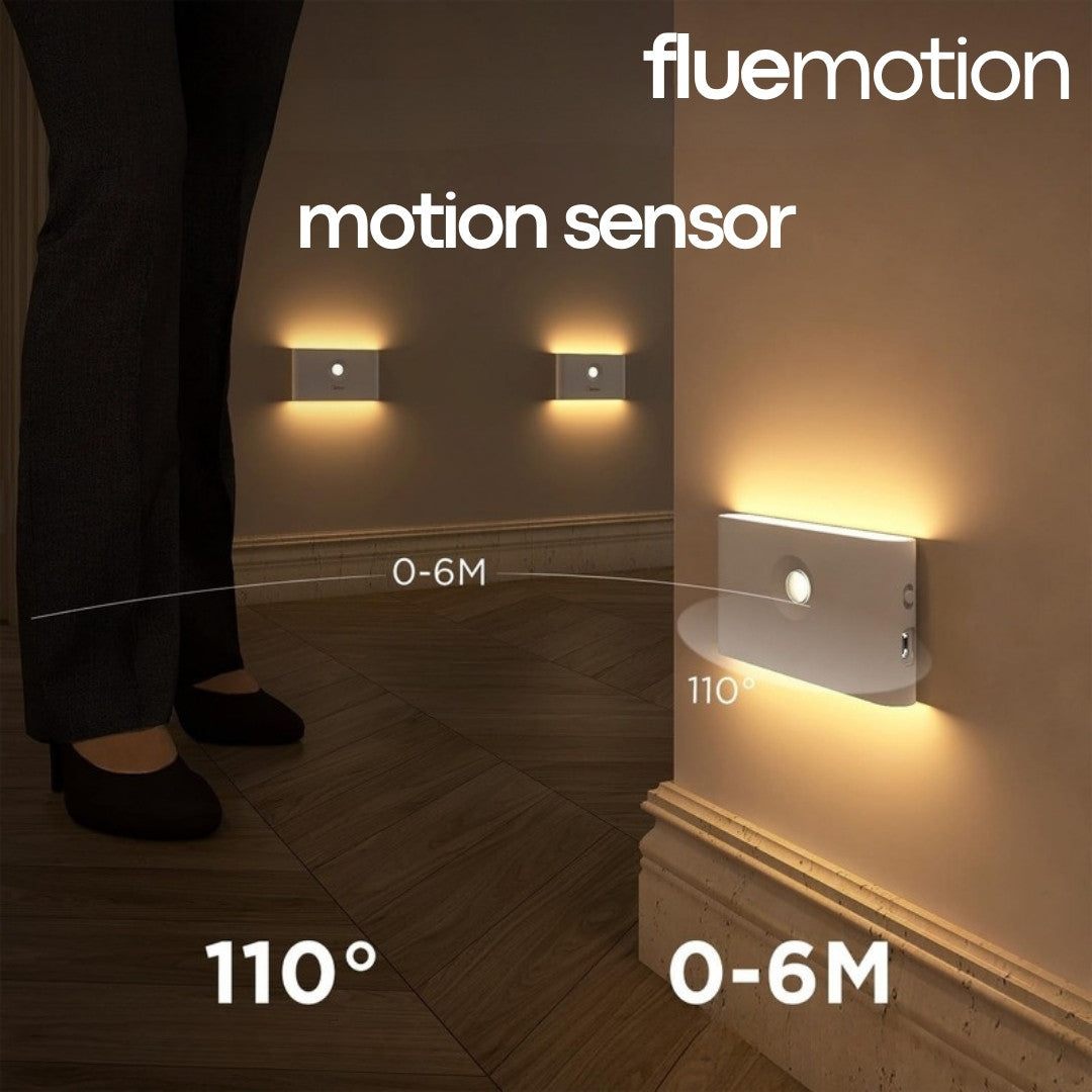 Flue Motion 4
